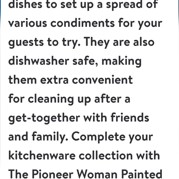 2024 ❤️ New Pioneer Woman Painted Meadow 4-Piece Condiment Set - Picture 3 of 10